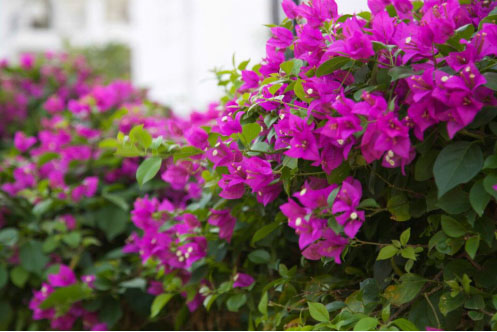 C:\Documents and Settings\Administrator\桌面\新闻�E?2016 �U�\2016.8.27�q�新�q�行时壹\囄��� (1)\1.jpg