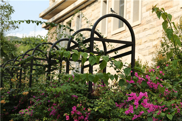 �������\ �B���ڈD���^߅�����W�Ӛw��.jpg