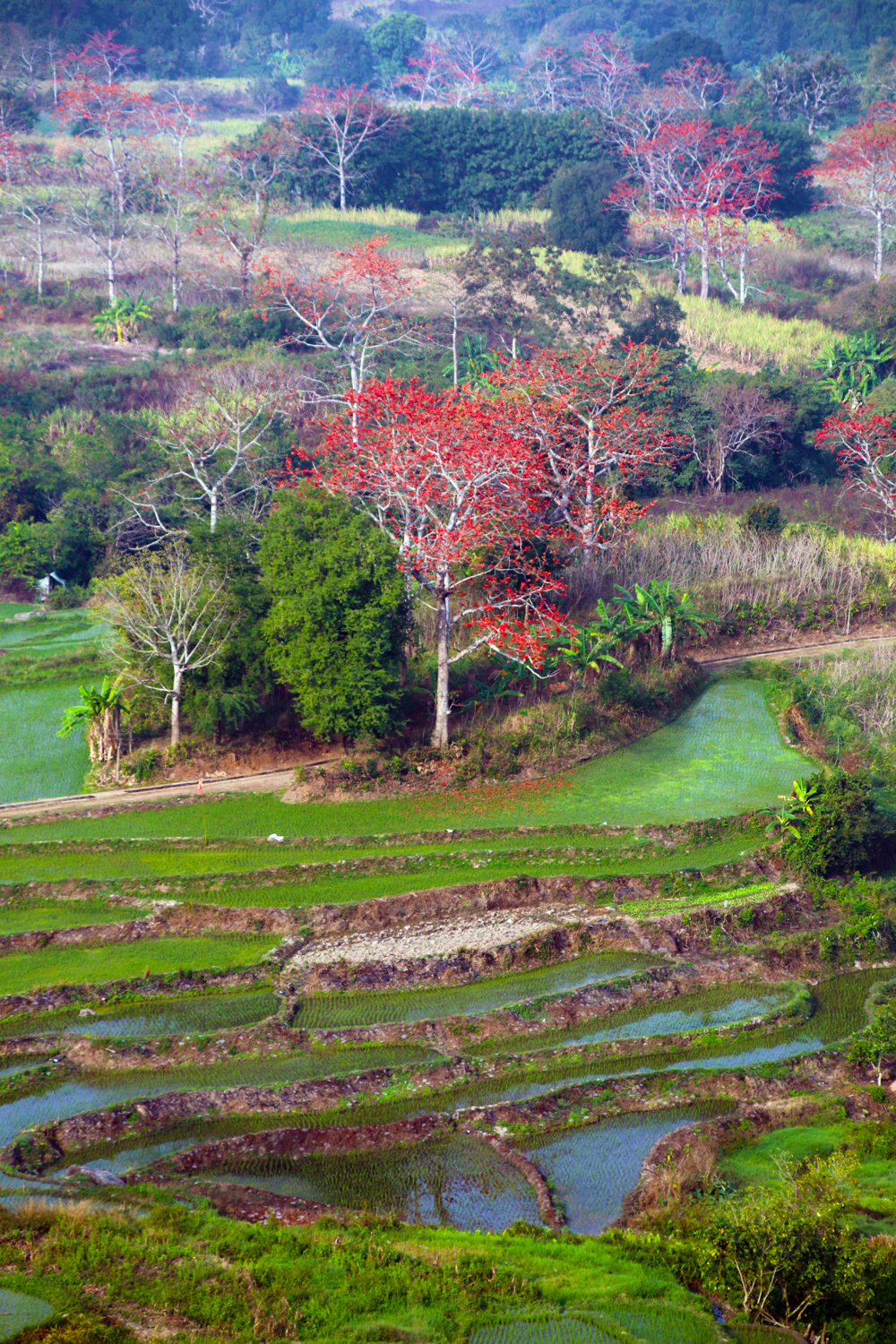 20220422���D����SIT�W(xu��)�ӏļ��l(xi��ng)�ā��Ĵ��� (21).jpg