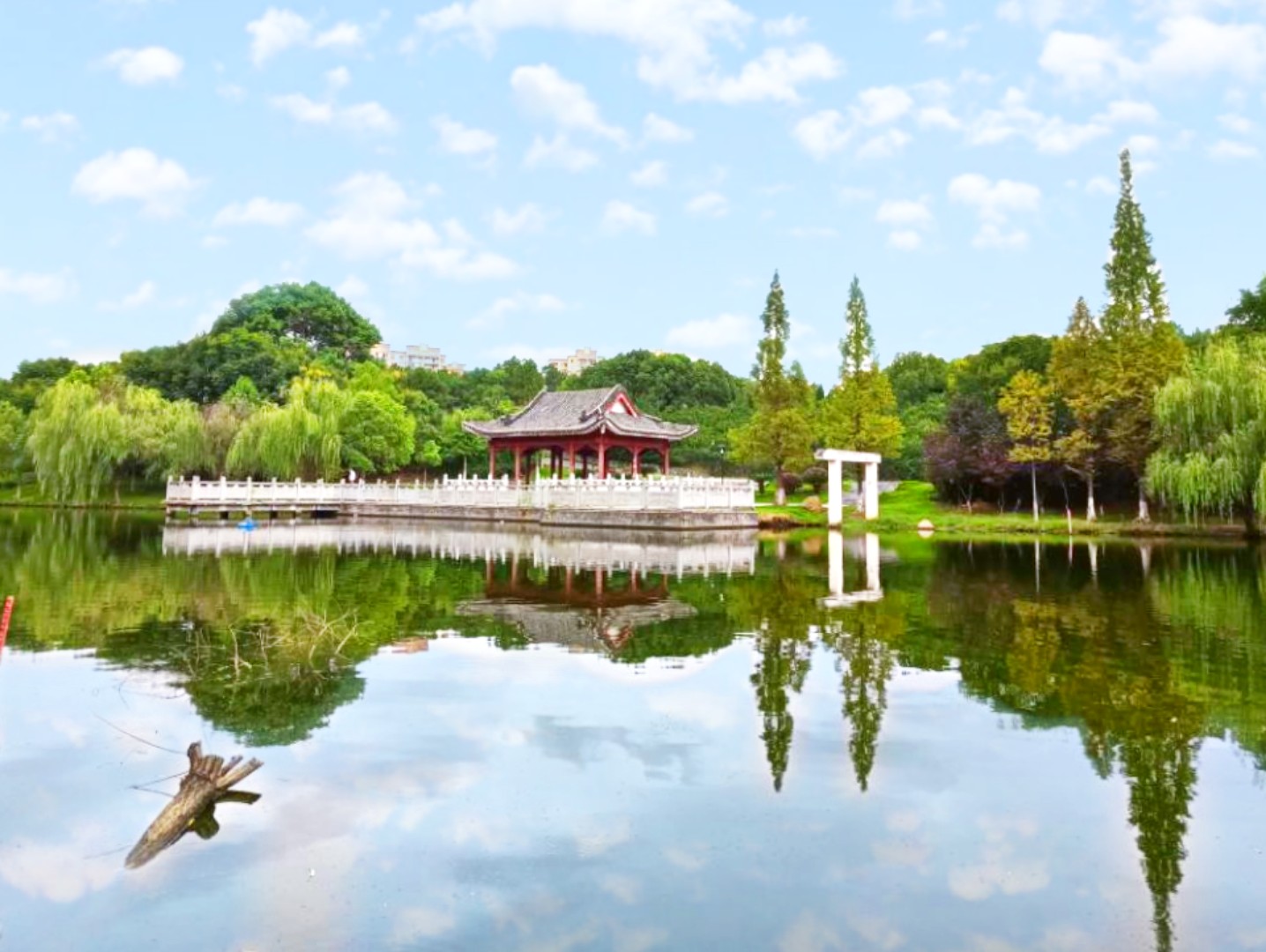 20220422���D����SIT�W(xu��)�ӏļ��l(xi��ng)�ā��Ĵ��� (2).jpg