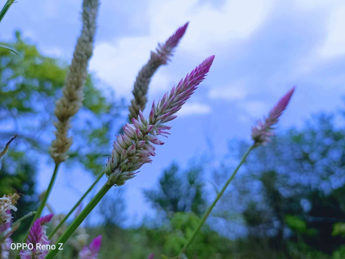 20220422���D����SIT�W�ӏļ��l(xi��ng)�ā��Ĵ��� (10).jpg