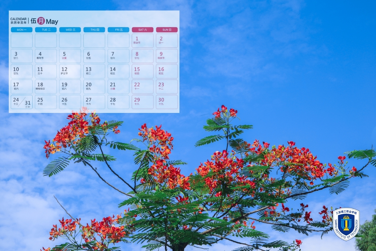 �D˾�?20210106-15454978 (4).jpg