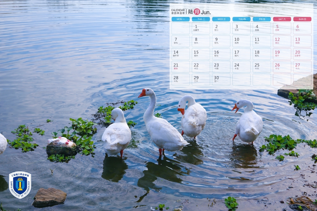 �D˾�?20210106-15454978 (5).jpg