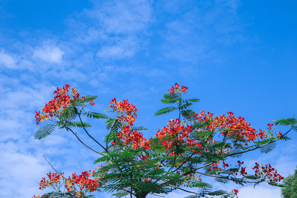 Canon EOS 6D_20200528_173331_����.jpg