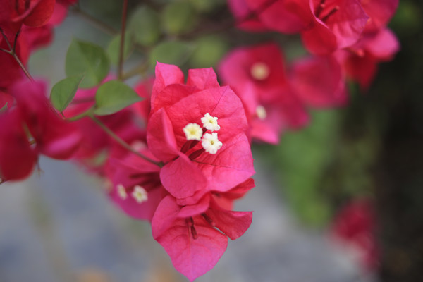 Canon EOS 6D_20210313_080849_����.jpg