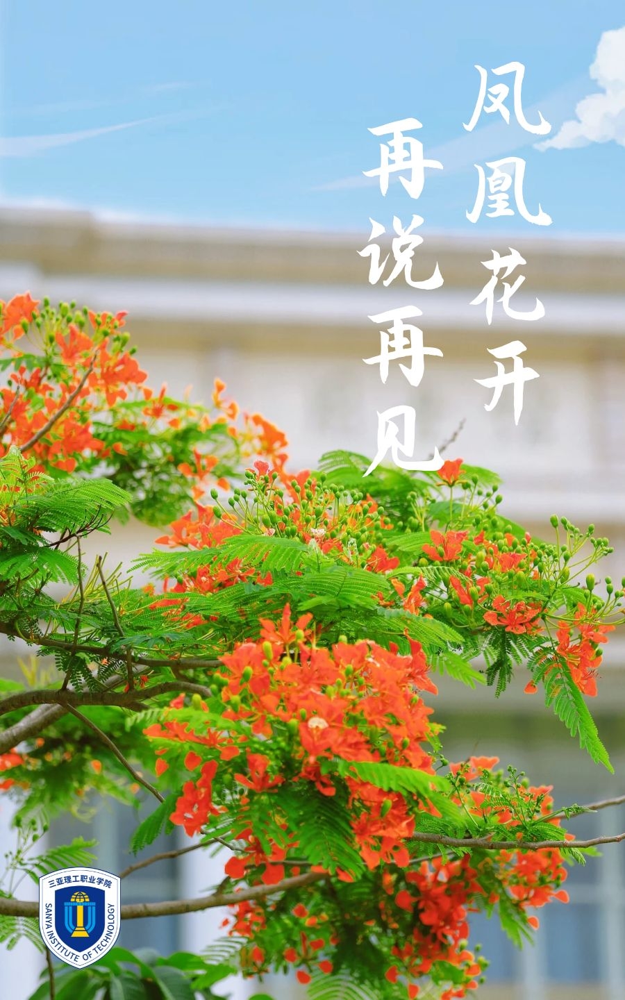 �D˾�?20240305-39031976 (1).jpg